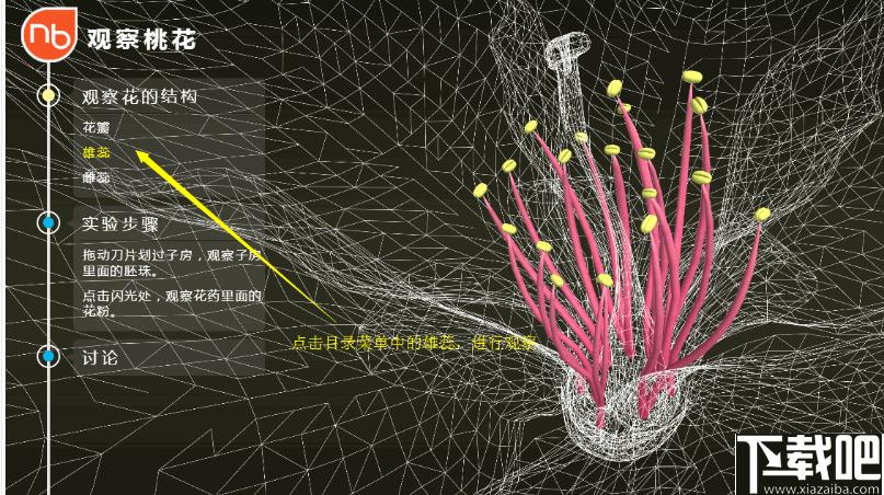 NB生物实验高中版下载,高中生物实验