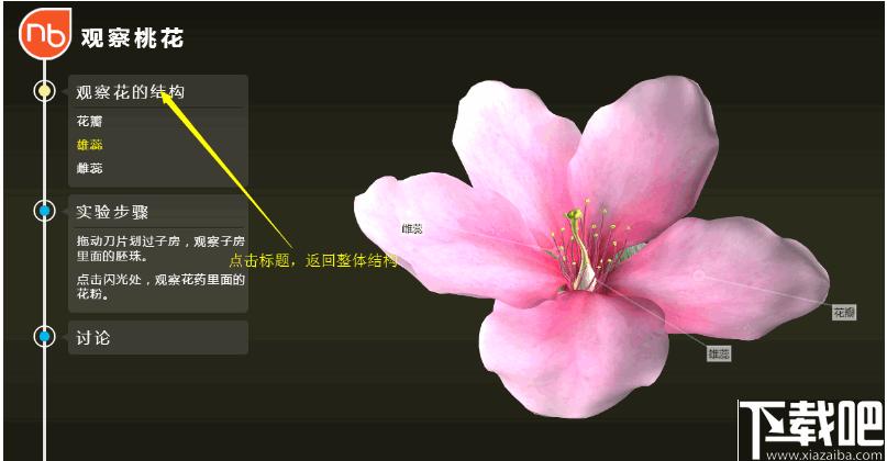 NB生物实验高中版下载,高中生物实验