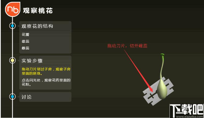 NB生物实验高中版下载,高中生物实验